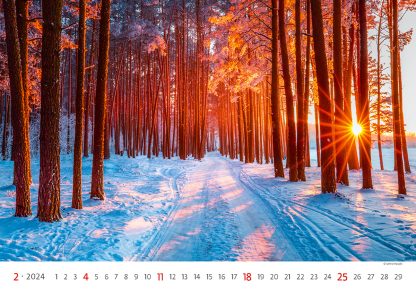 alt="Bildkalender Via Februar"