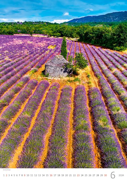 alt="Bildkalender Provence Juni"
