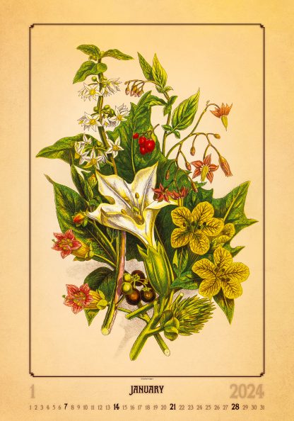 alt="Bildkalender Herbarium Januar"