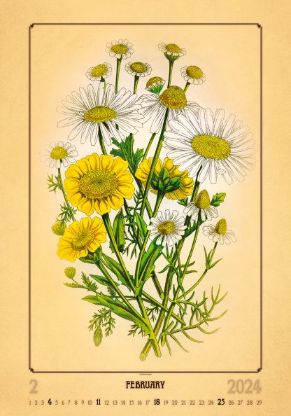 alt="Bildkalender Herbarium Februar"