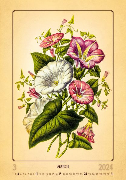 alt="Bildkalender Herbarium März"