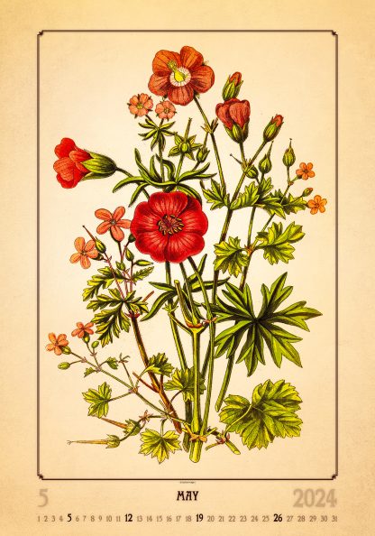 alt="Bildkalender Herbarium Mai"