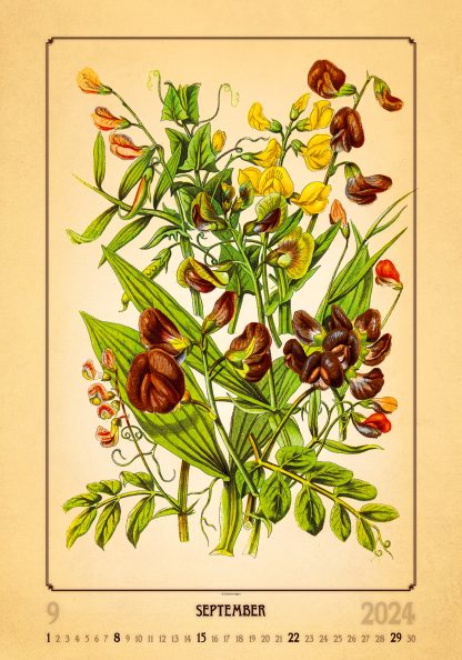 alt="Bildkalender Herbarium September"