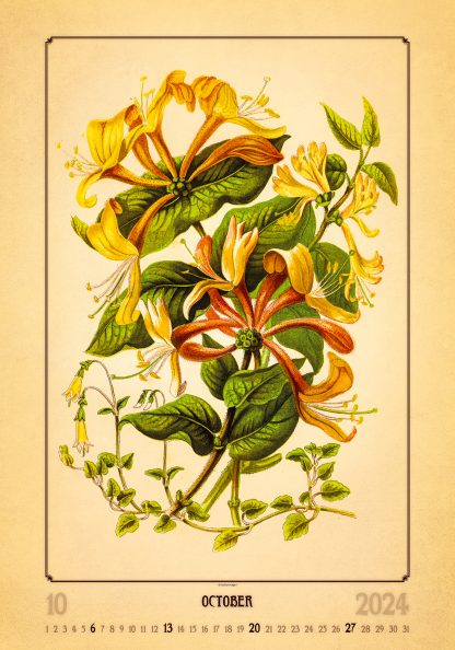alt="Bildkalender Herbarium Oktober"