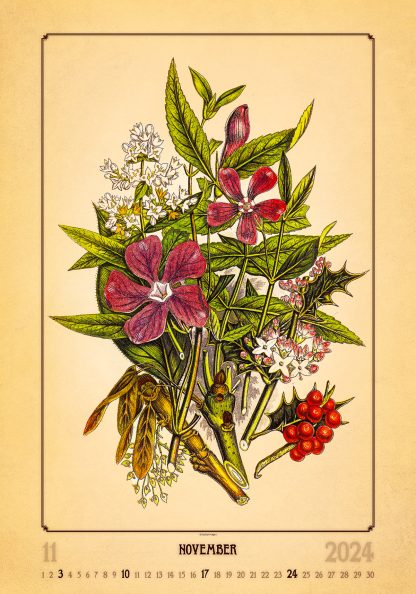 alt="Bildkalender Herbarium November"