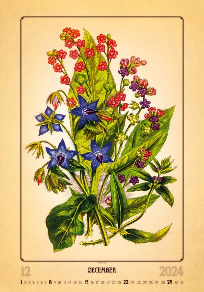 alt="Bildkalender Herbarium Dezember"