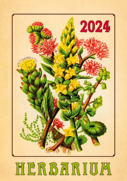 alt="Bildkalender Herbarium Titelbild"