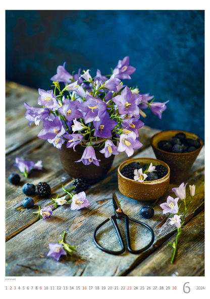 alt="Bildkalender Magic Flowers Juni"