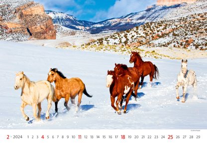 alt="Bildkalender Horses Februar"