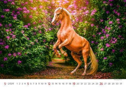 alt="Bildkalender Horses Mai"