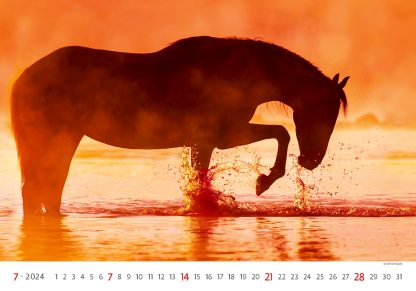 alt="Bildkalender Horses Juli"