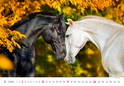 alt="Bildkalender Horses November"