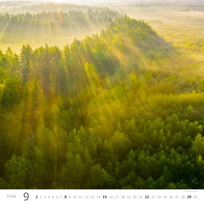 alt="Bildkalender Forest September"