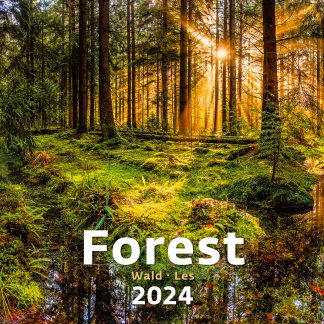 alt="Bildkalender Forest Titelbild"